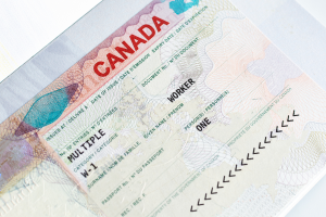 Applying for a visitor visa may seem overwhelming at first, but by following these guidelines will increase your chances of a successful application.