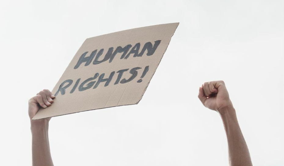 Human Rights Advocates